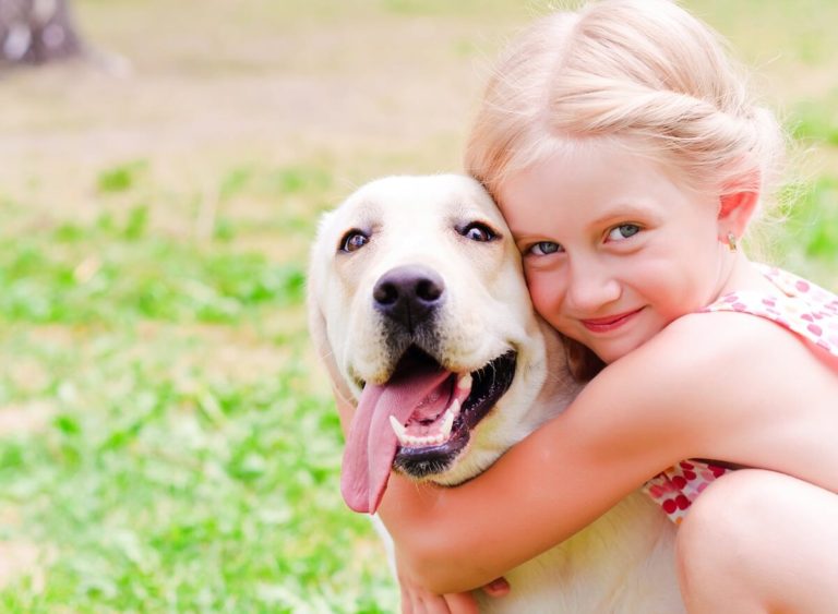 Dog and girl