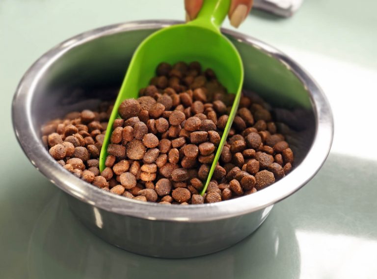 Pet Food
