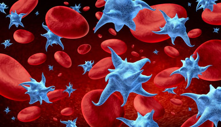 Thrombocytopenia in dogs