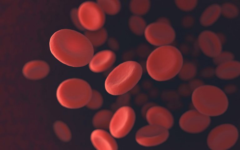 anemia in dogs