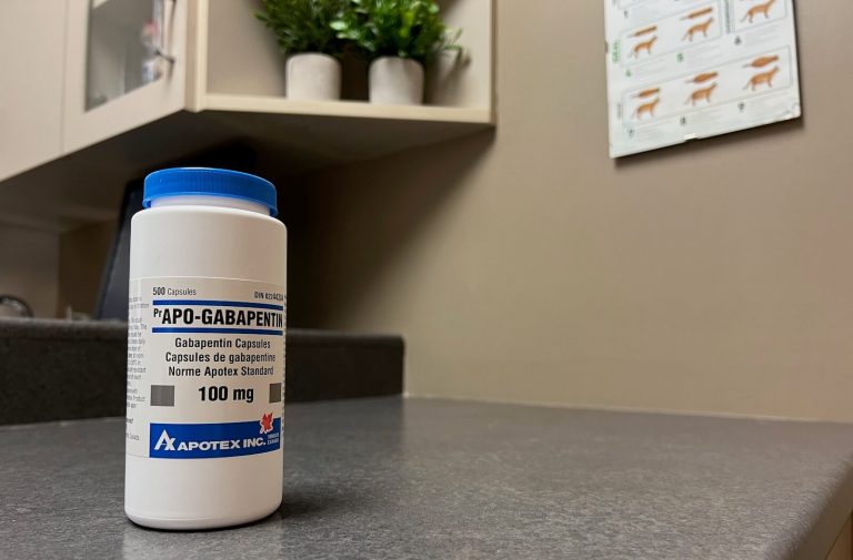 gabapentin for cats