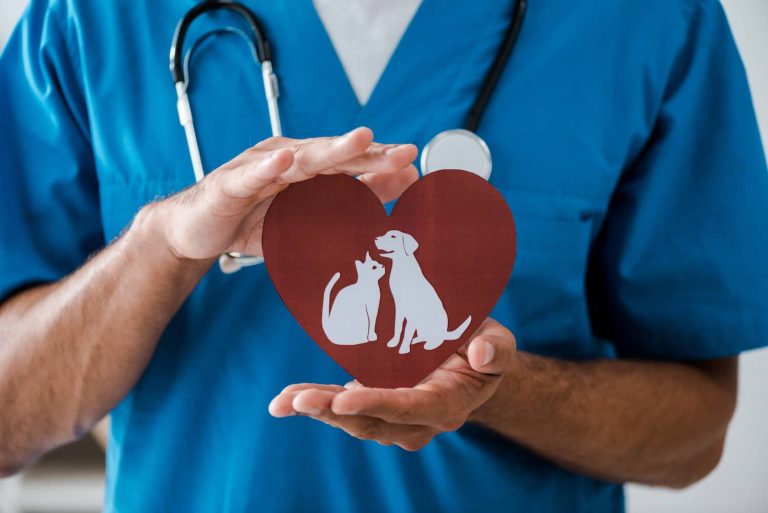 pet insurance in Canada