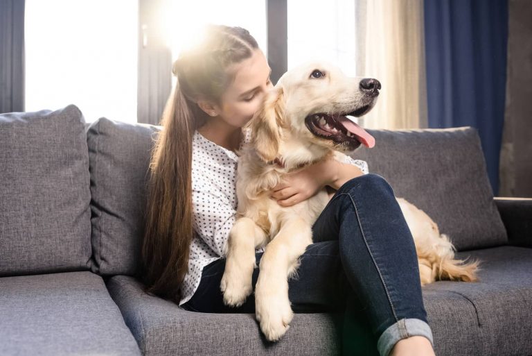 happy dog