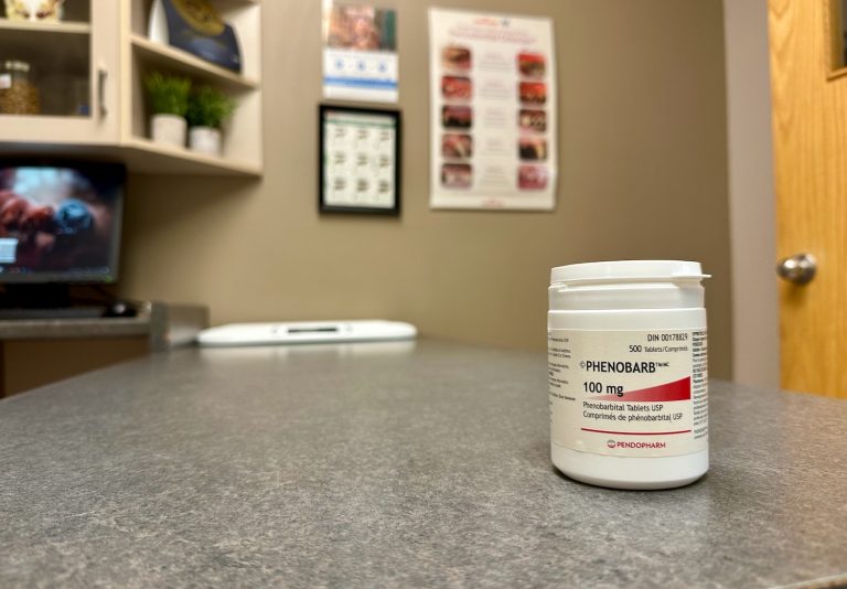 phenobarbital for dogs