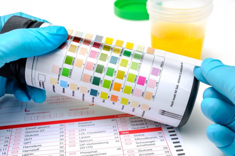 urinalysis in dogs