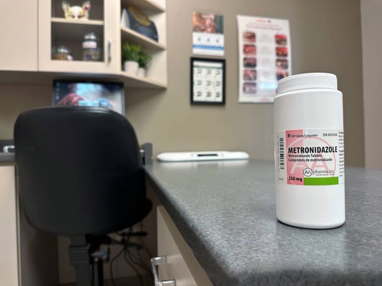 metronidazole for dogs