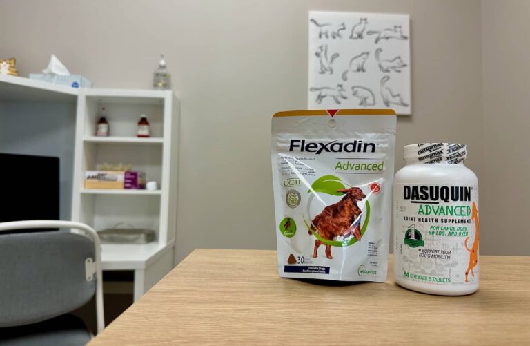 joint supplements for dogs