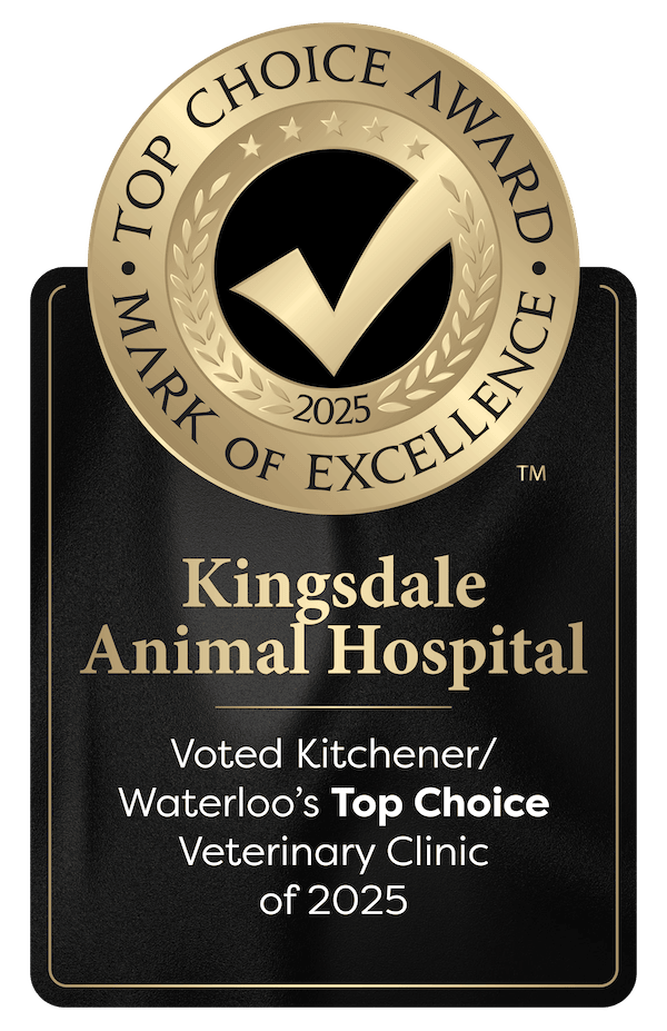 Best vet award Kitchener